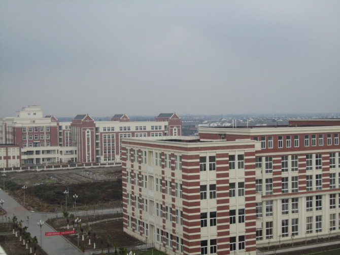 20110318_134019_257.jpg