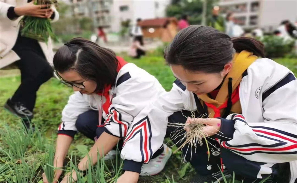 成都樹德中學光華校區(qū)招生計劃是多少