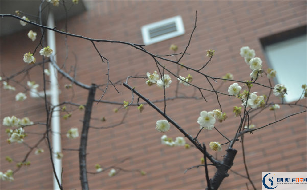 新格林藝術(shù)高級中學(xué)校的高中住宿怎么樣？