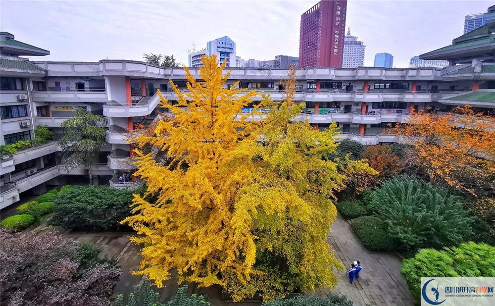 石室中學(xué)文廟校區(qū)2019年中考錄取分數(shù)線